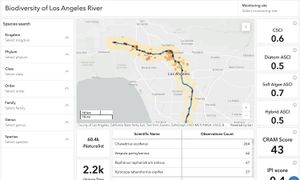 Biodiversity of the Los Angeles River Dashboard