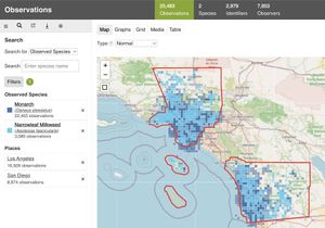 Screenshot of iNaturalist Explorer website