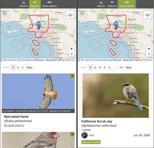Screenshot of Nature Nearby website