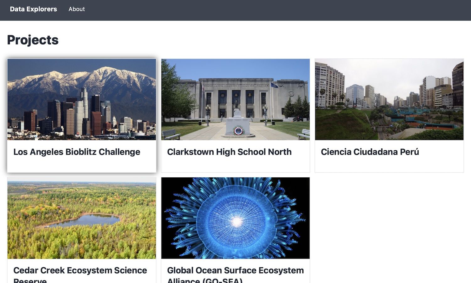 Screenshot of Data Explorer website
