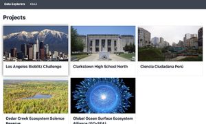 Screenshot of Data Explorer website