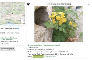 Screenshot of City Nature Challenge Viewer website