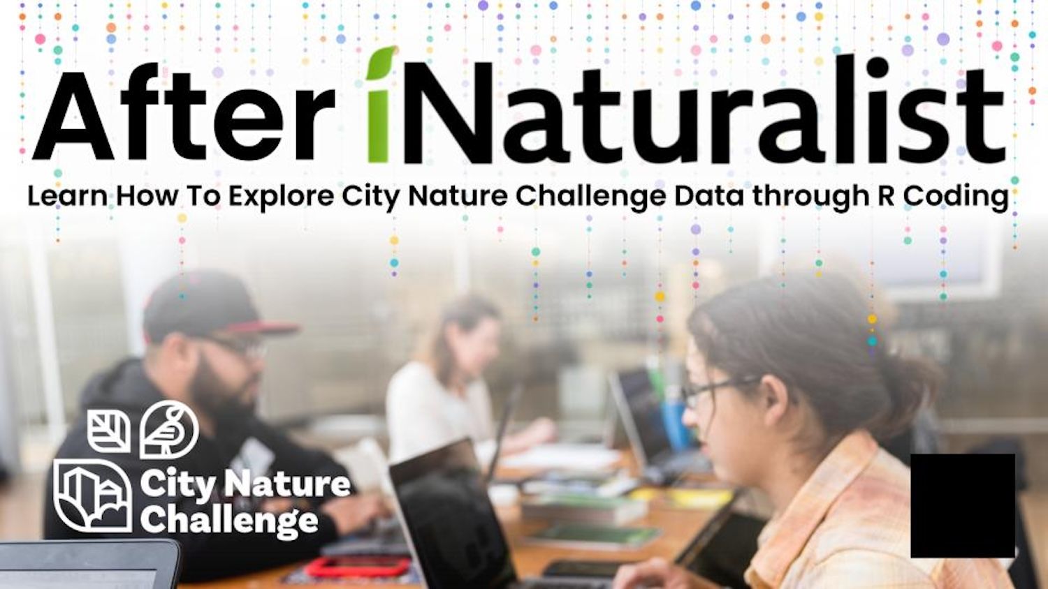 After iNaturalist graphic