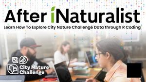 After iNaturalist graphic
